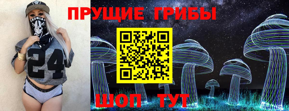 Псилоцибиновые грибы мухоморы Хасавюрт
