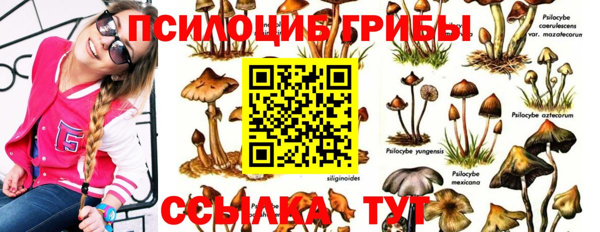 Псилоцибиновые грибы Psilocybe  Вход с VPN  Хасавюрт  Галлюциногенные грибы ЛСД 